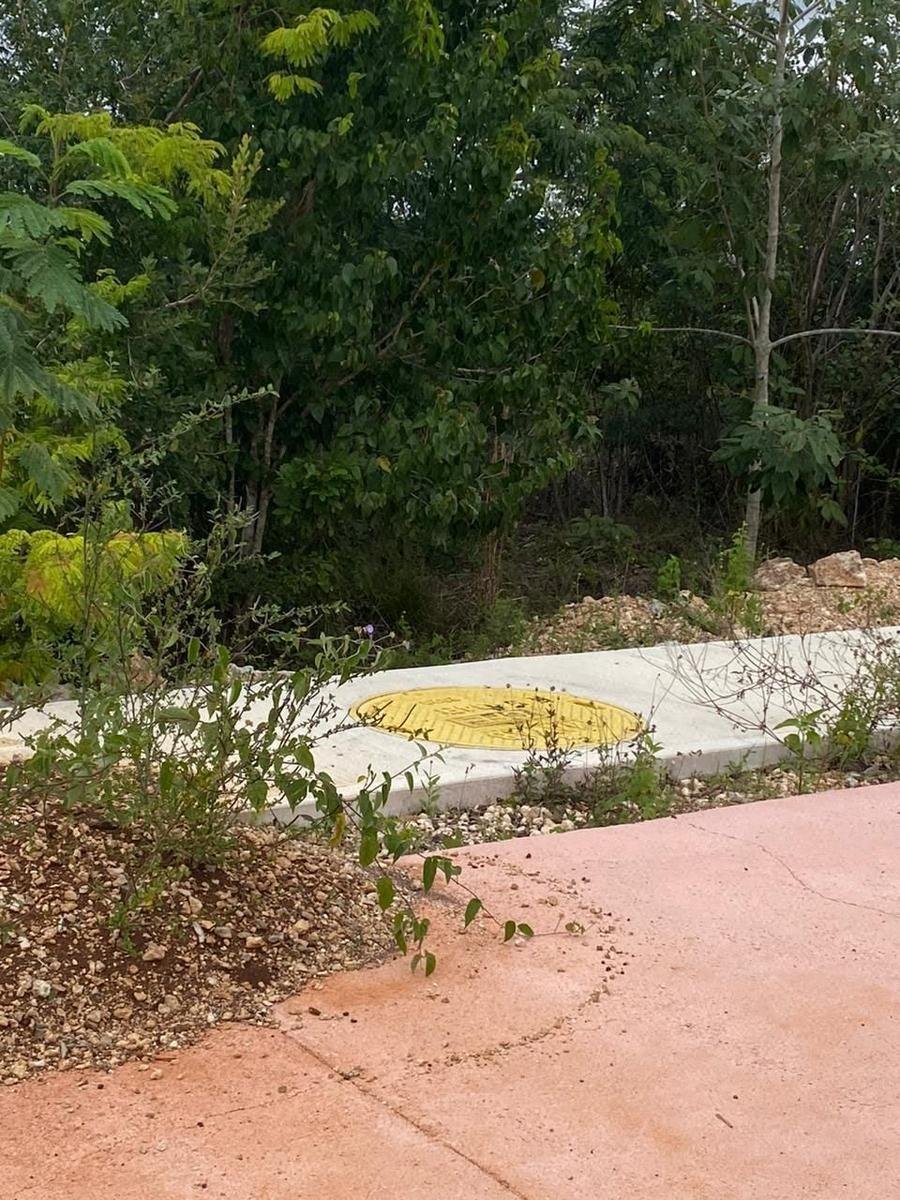 Land in Cancún, Quintana Roo, Mexiko 3 - 19095808