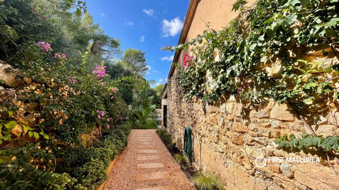 House in s'Arraco, Andratx, Balearic Islands 3 - 19097809