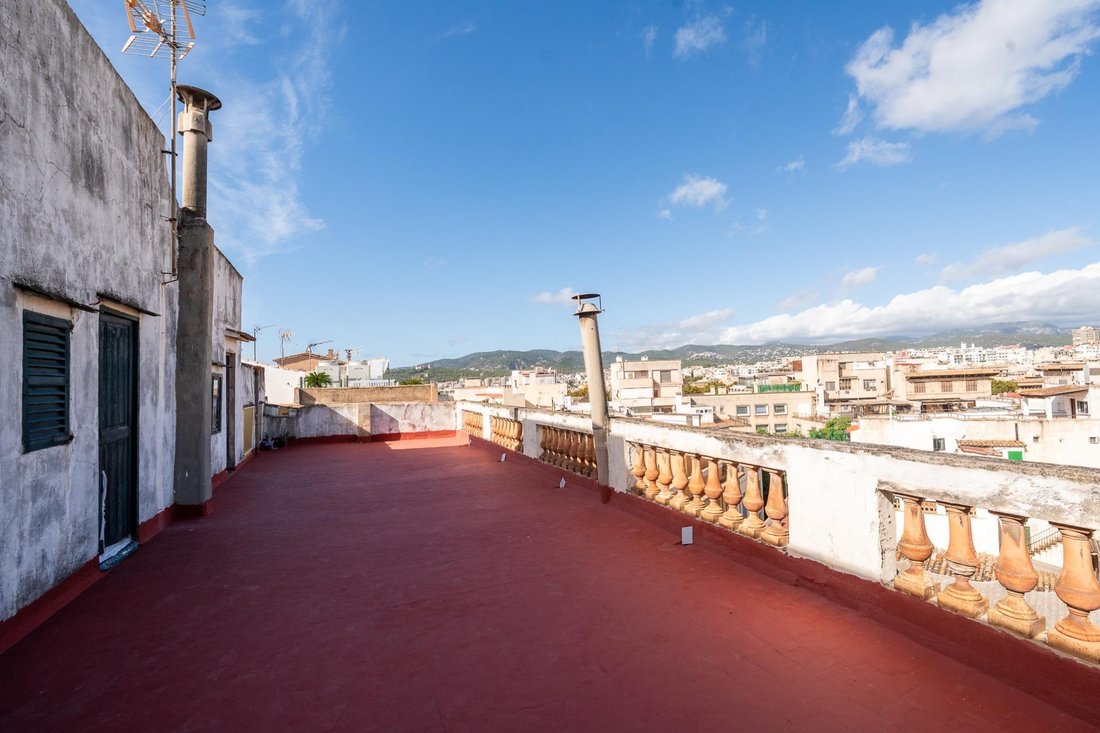 Appartement à Palma, Îles Baléares, Espagne 5 - 19097032