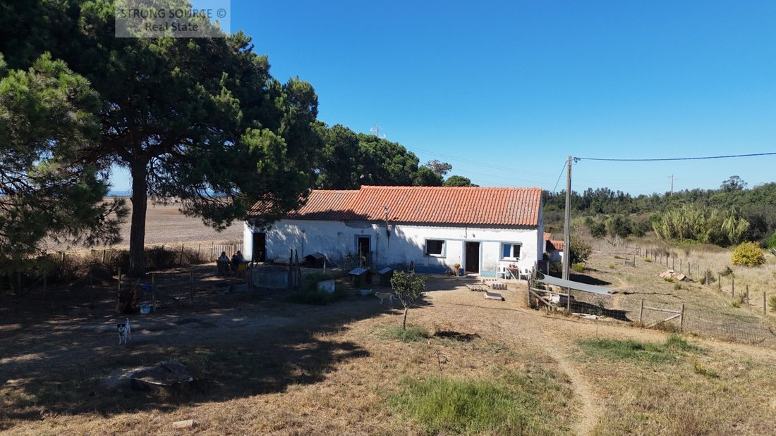 Finca en São Teotónio, Distrito de Beja, Portugal 4 - 19098079