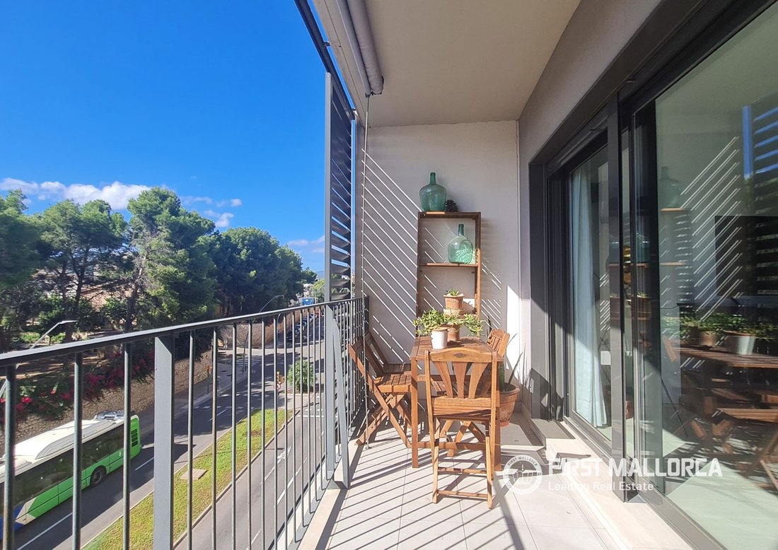 Apartment in Palma, Balearic Islands, Spain 1 - 19097833