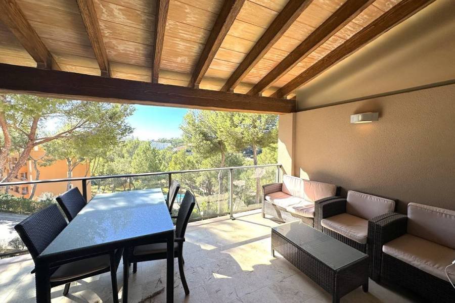 Penthouse in Cala Fornells, Calvia, Balearic Islands 4 - 19094919
