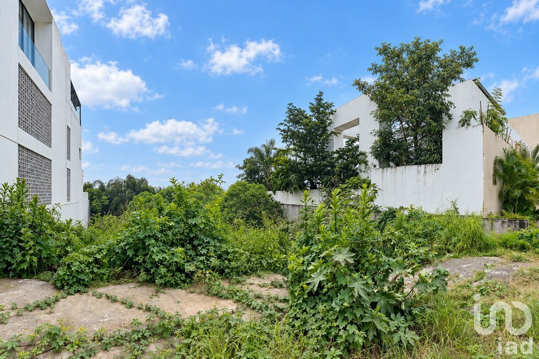 Terrain en Cuernavaca, Morelos, Mexique 2 - 19094927