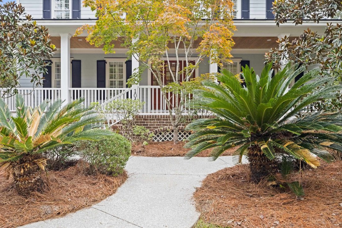 House in Georgetown, South Carolina, United States 5 - 19098886