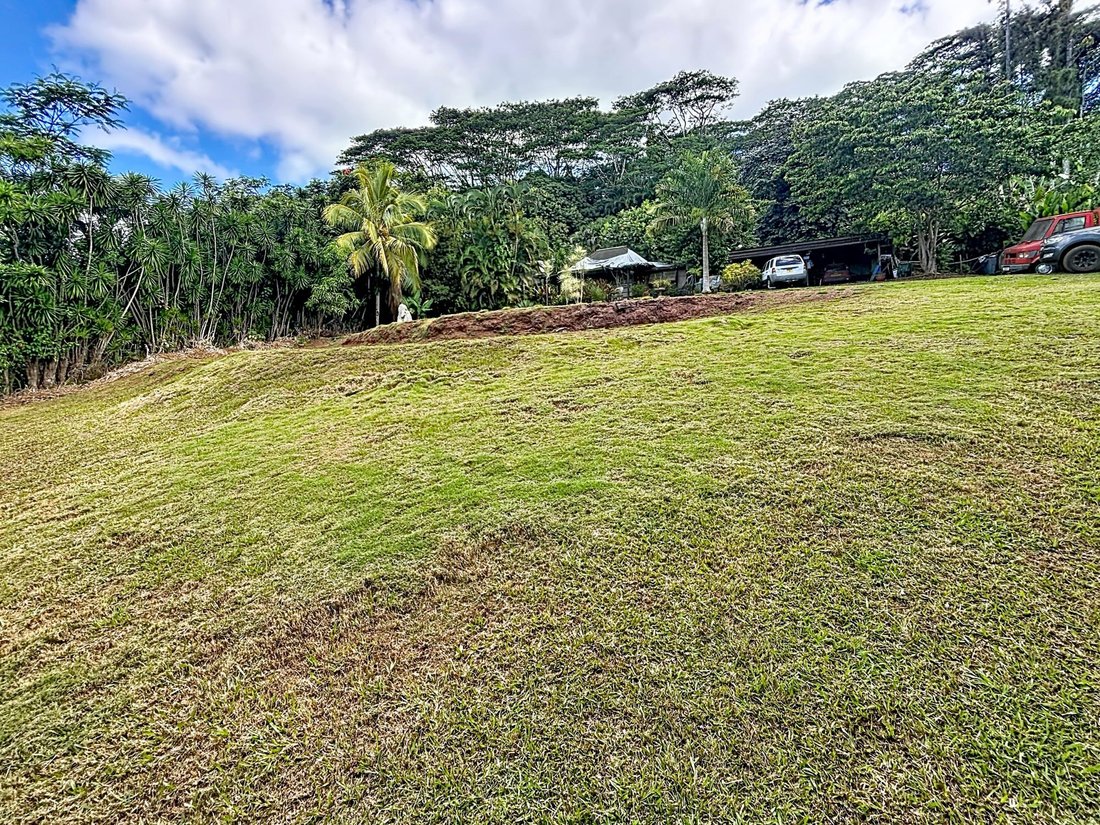 Haus in Taravao, Inseln über dem Winde, Französisch-Polynesien 5 - 19099071