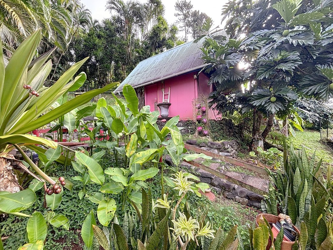 Haus in Taravao, Inseln über dem Winde, Französisch-Polynesien 3 - 19099071