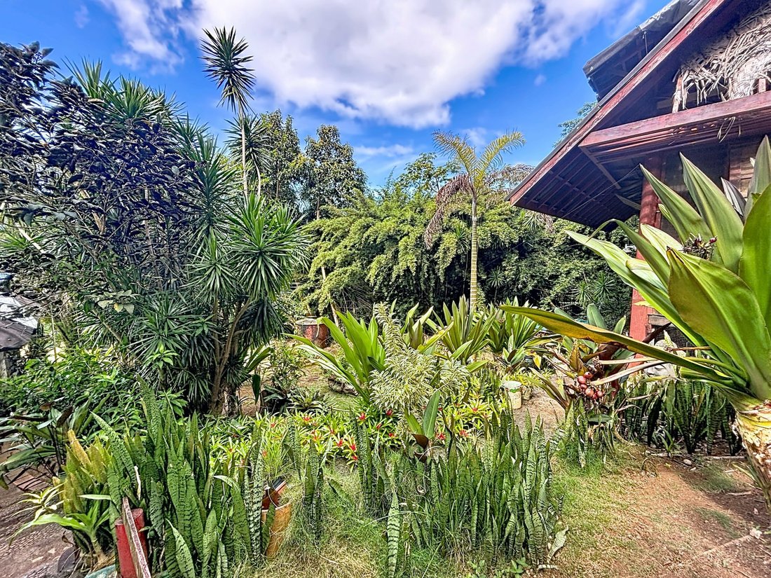 Haus in Taravao, Inseln über dem Winde, Französisch-Polynesien 4 - 19099071