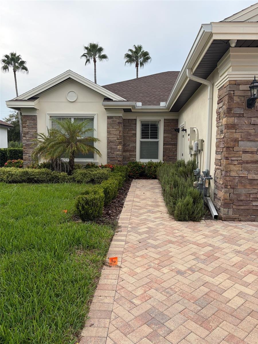 House in Trinity, Florida, United States 3 - 19099507