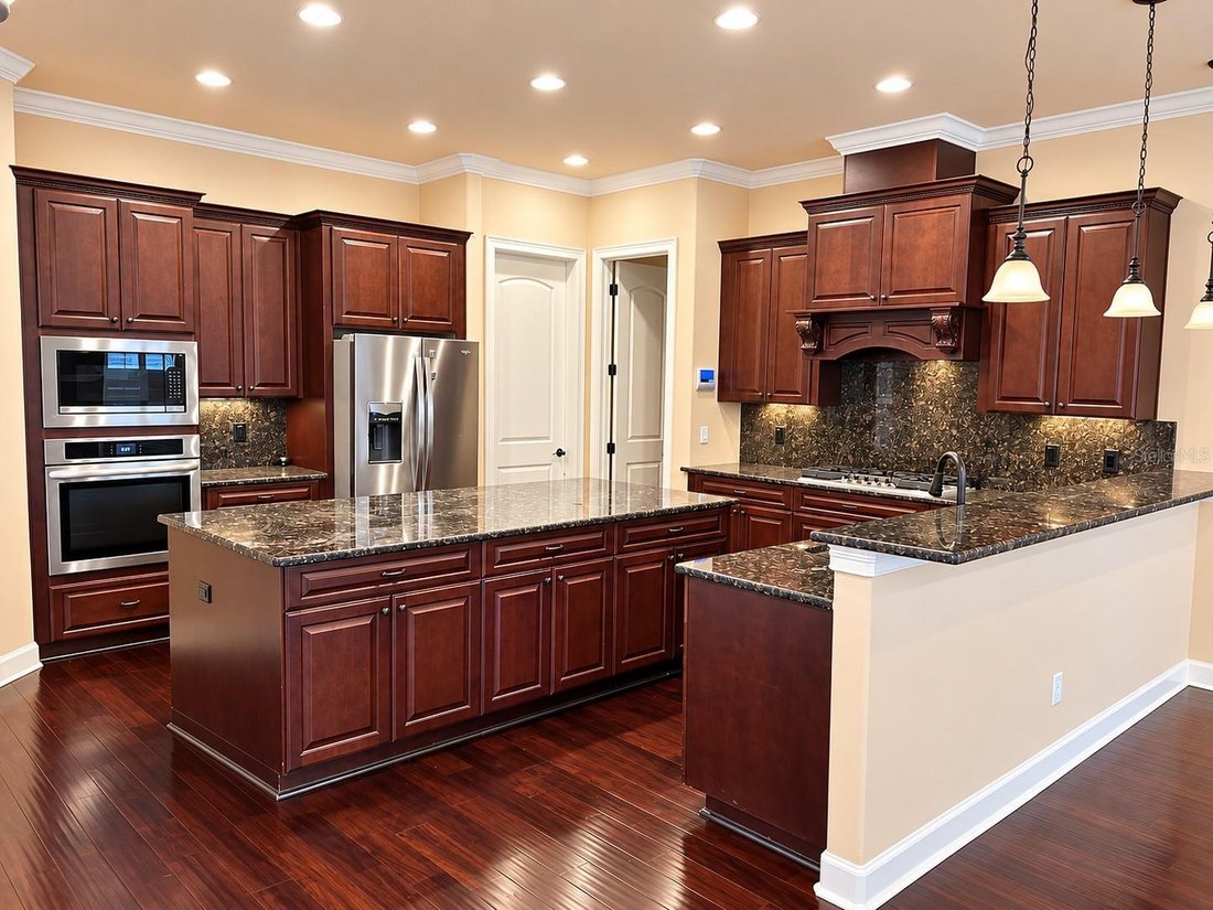 House in Trinity, Florida, United States 5 - 19099507