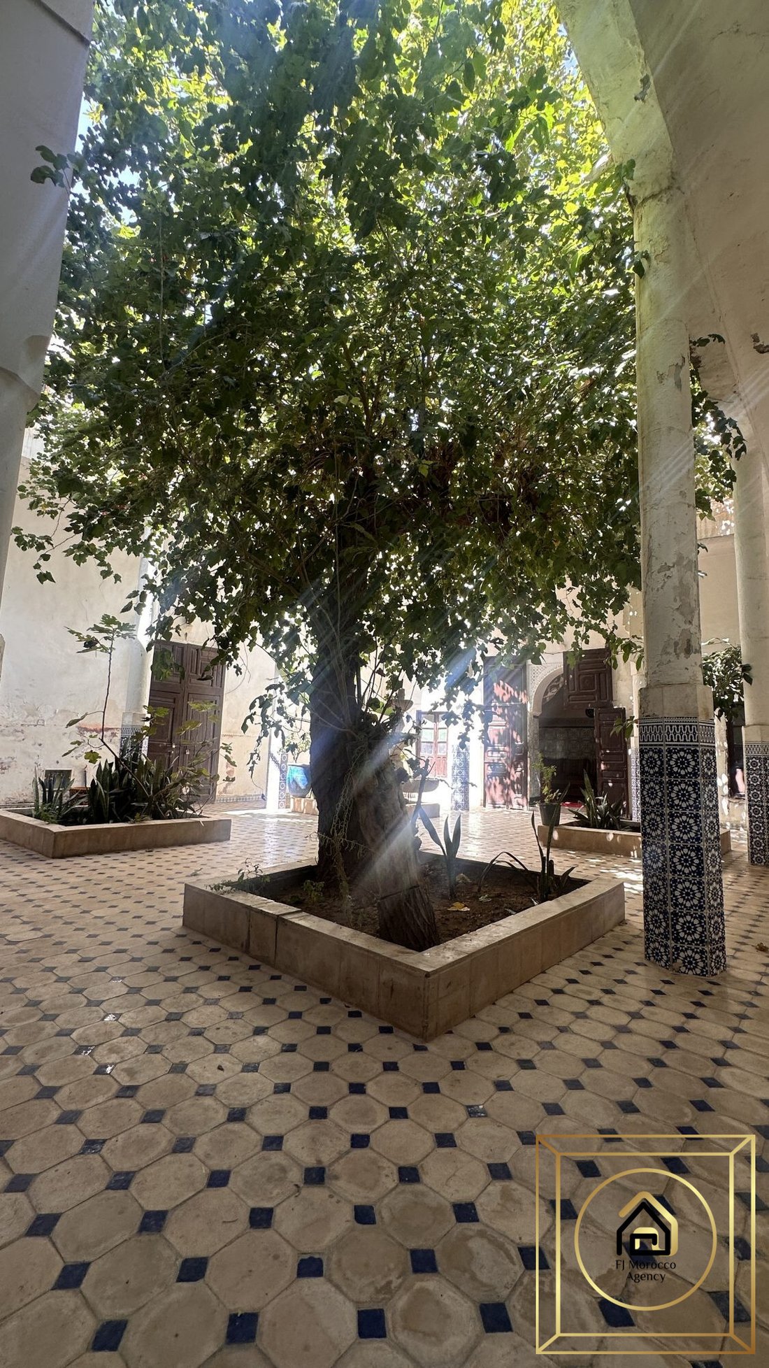Casa a Marrakech, Marrakech-Safi, Marocco 4 - 19099013