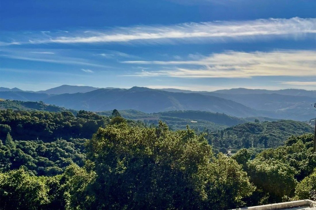 Terreno a Carmel Valley Village, California, Stati Uniti 4 - 19099644