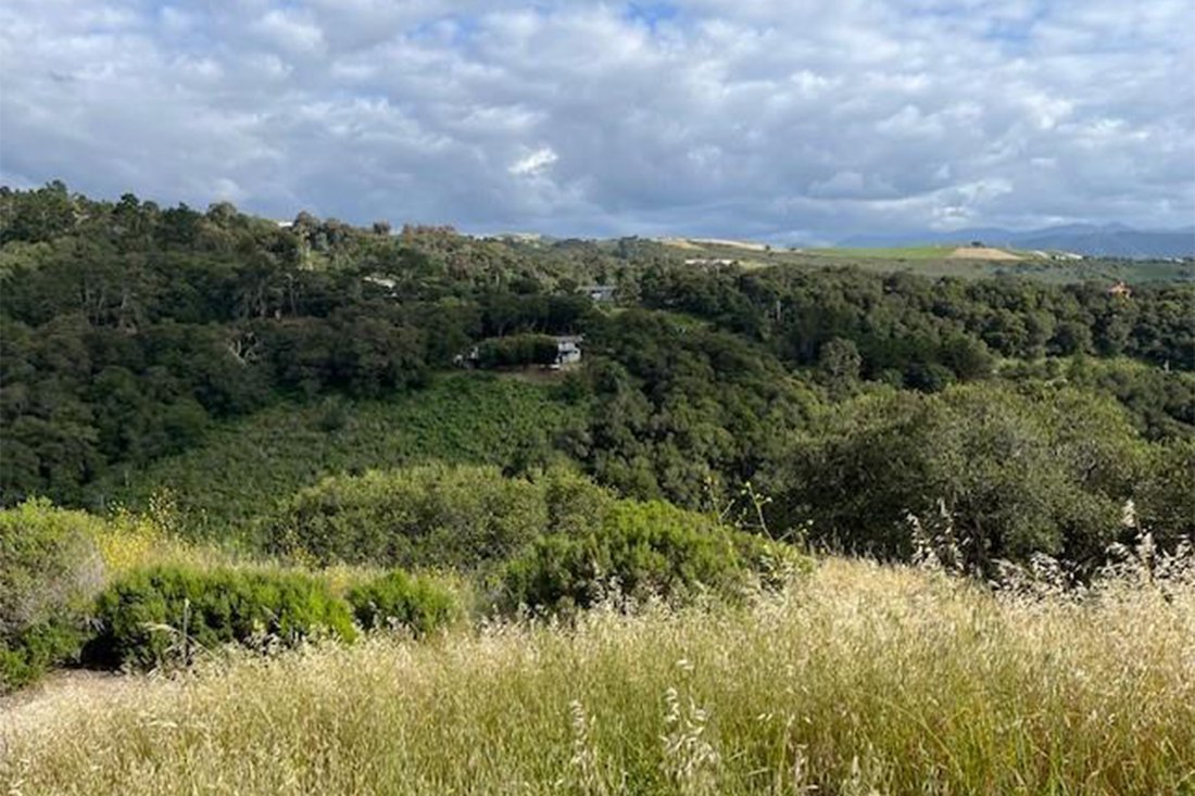 Terreno a Carmel Valley Village, California, Stati Uniti 1 - 19099644