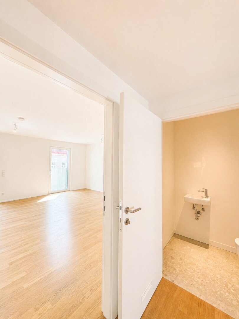 Apartment in Vienna, Wien, Austria 5 - 19100346