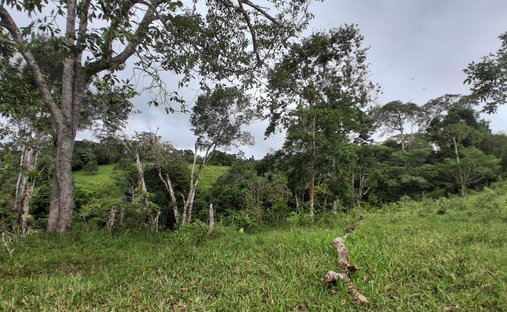 Finca a Potrerillos Arriba, Distretto di Barú, Panamá 1