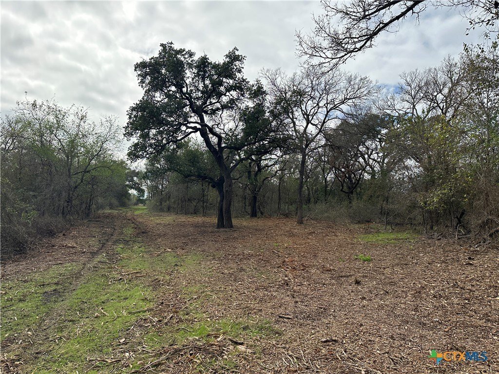 Farm Ranch in Salado, Texas, Vereinigte Staaten 5 - 19100531