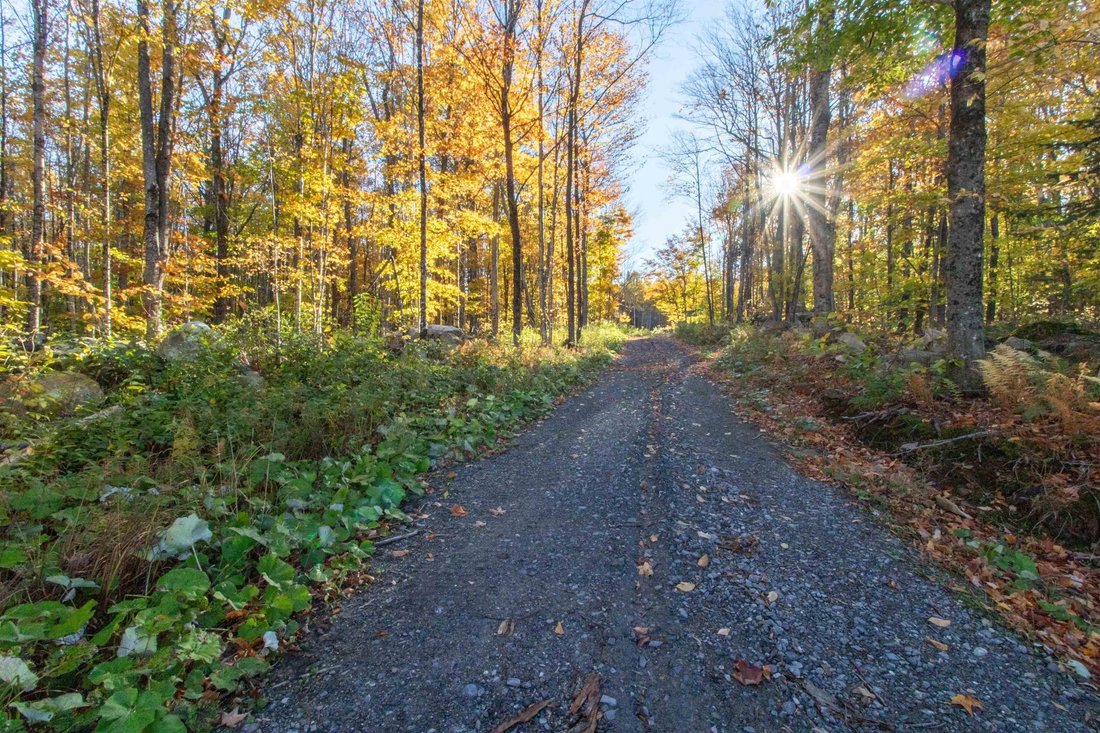 Altro a Newark, Vermont, Stati Uniti 4 - 19100530