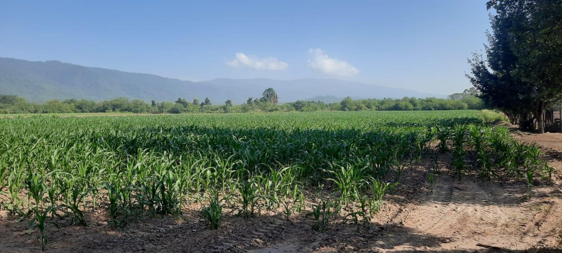 Terrain à Ingenio San Pablo, Province de Tucumán, Argentine 4 - 19101052