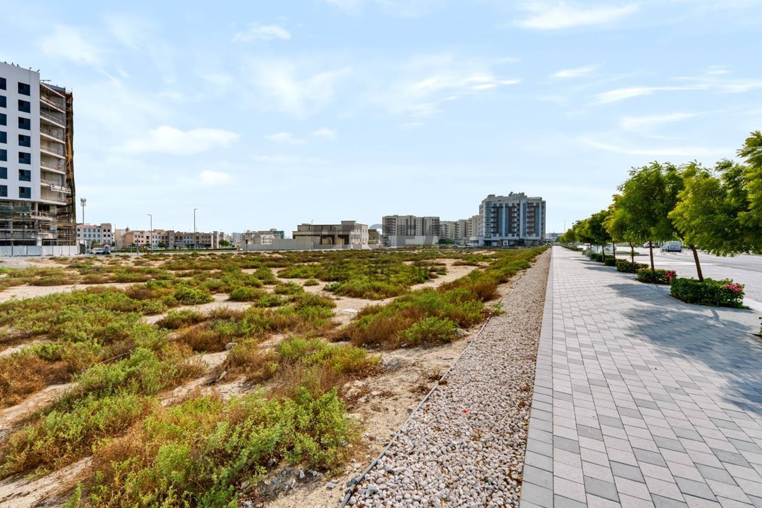 Terreno en Warsan, Dubái, Emiratos Árabes Unidos 1 - 19101767