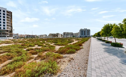 Terreno en Warsan, Dubái, Emiratos Árabes Unidos 1