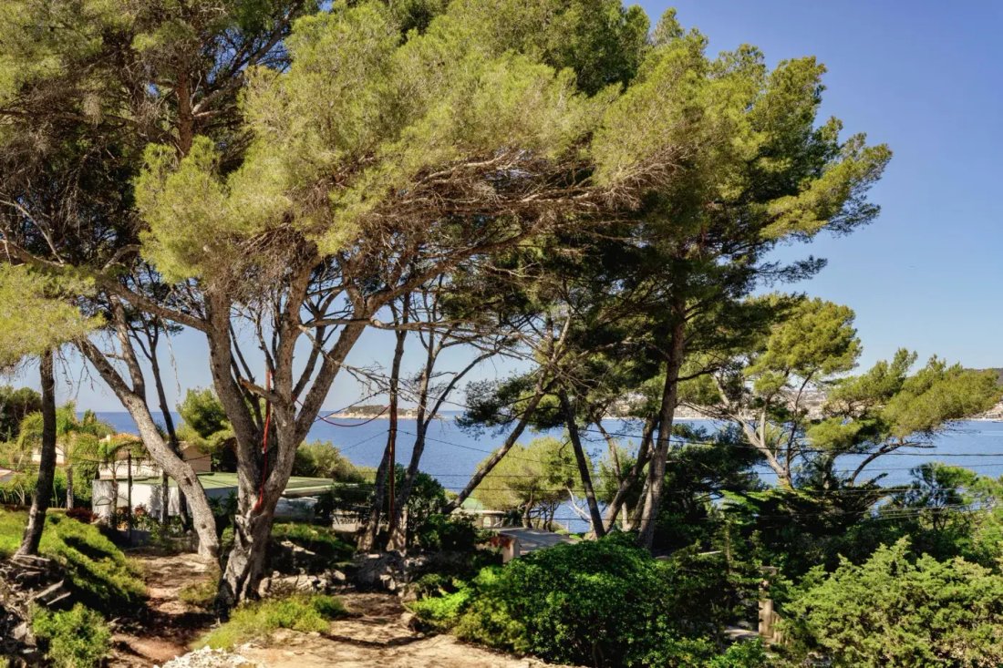 Appartement à Nord, Sanary-sur-Mer, France 1 - 16256015
