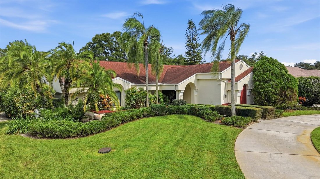 House in Tarpon Springs, Florida, United States 2 - 19101474