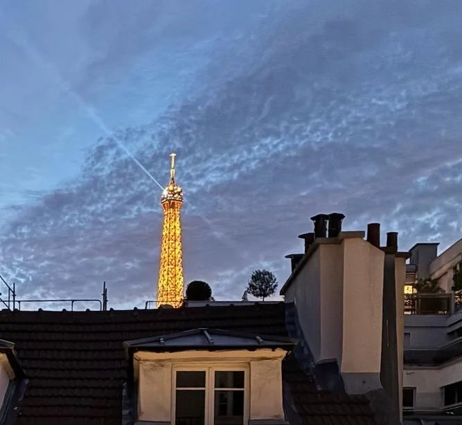 Apartment in Gros Caillou, Paris 7e Arrondissement, Paris 1 - 19102338