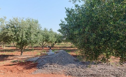 Terrain en Markopoulo Mesogaias, Attique, Grèce 1