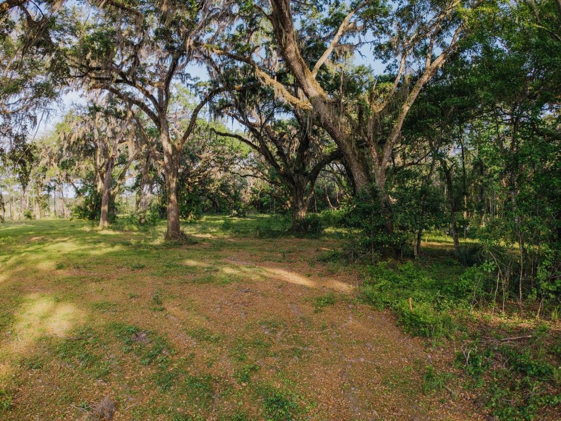 Land in Brunswick, Georgia, Vereinigte Staaten 4 - 19101603