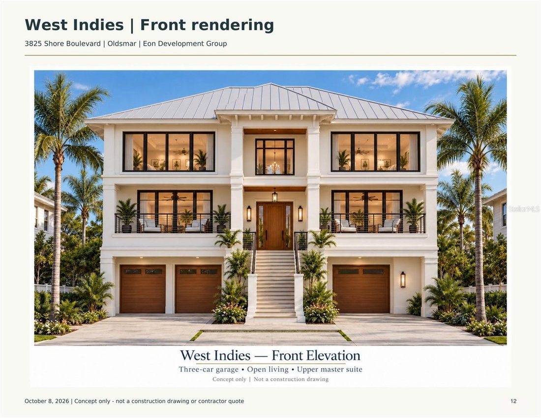 House in Oldsmar, Florida, United States 4 - 19101445