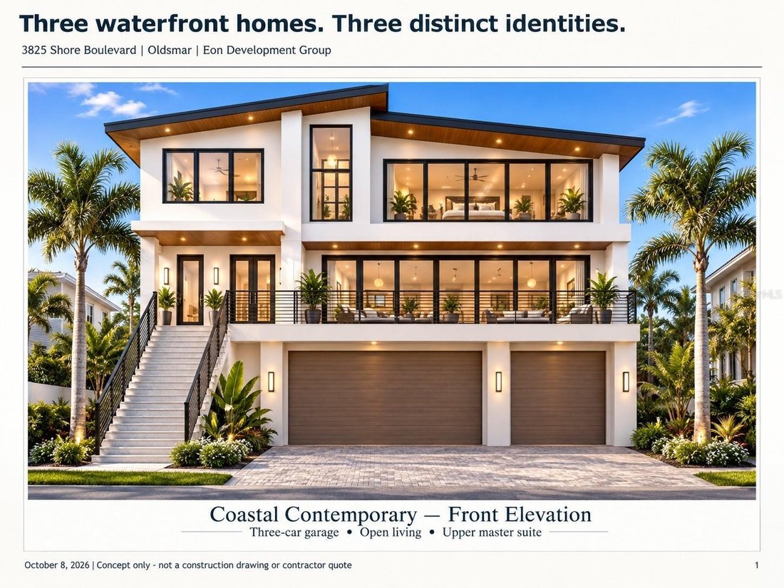 House in Oldsmar, Florida, United States 1 - 19101445