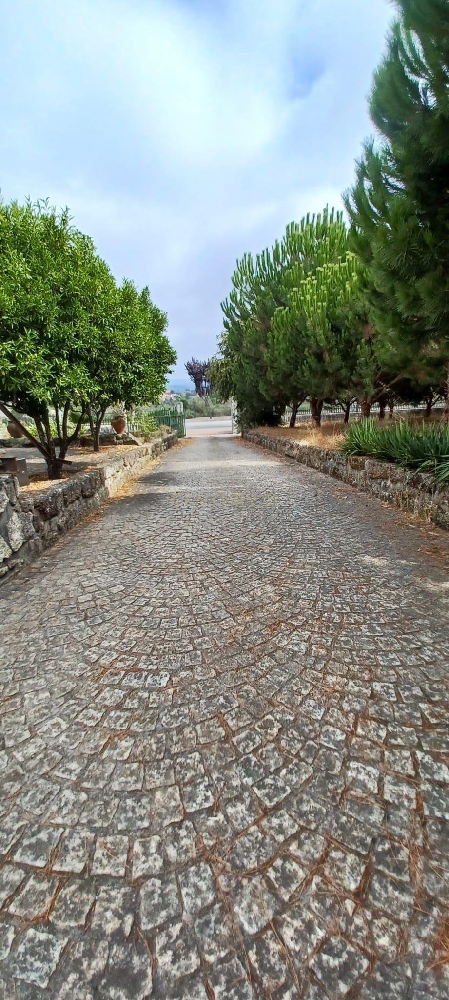 Villa à Oliveira do Conde, Viseu, Portugal 3 - 19105142