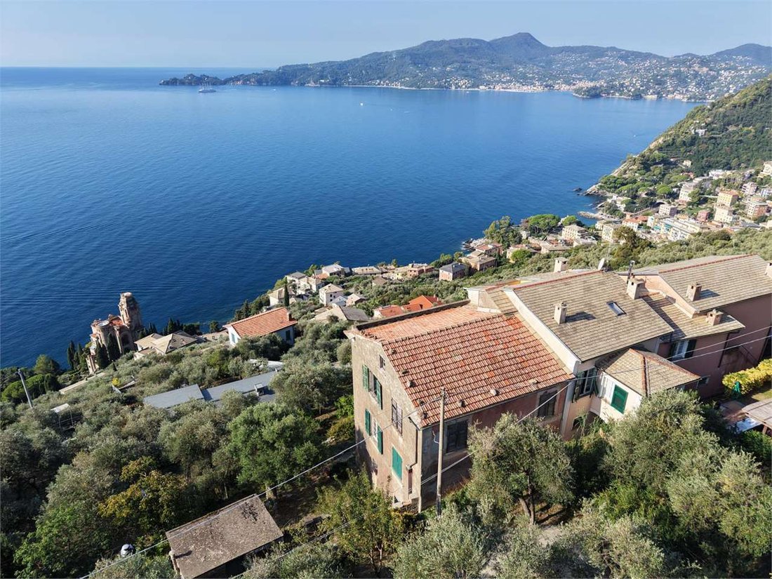 Estate in Zoagli, Liguria, Italy 1 - 19104543