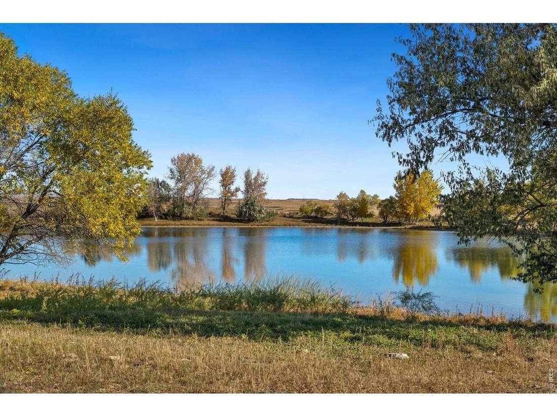 Wellington, Colorado, United States 2 - 19103677