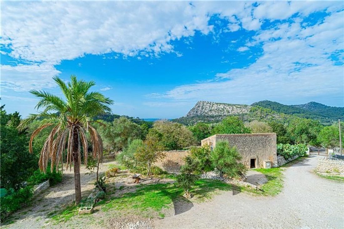Landhaus in Algaida, Balearische Inseln, Spanien 3 - 19105125