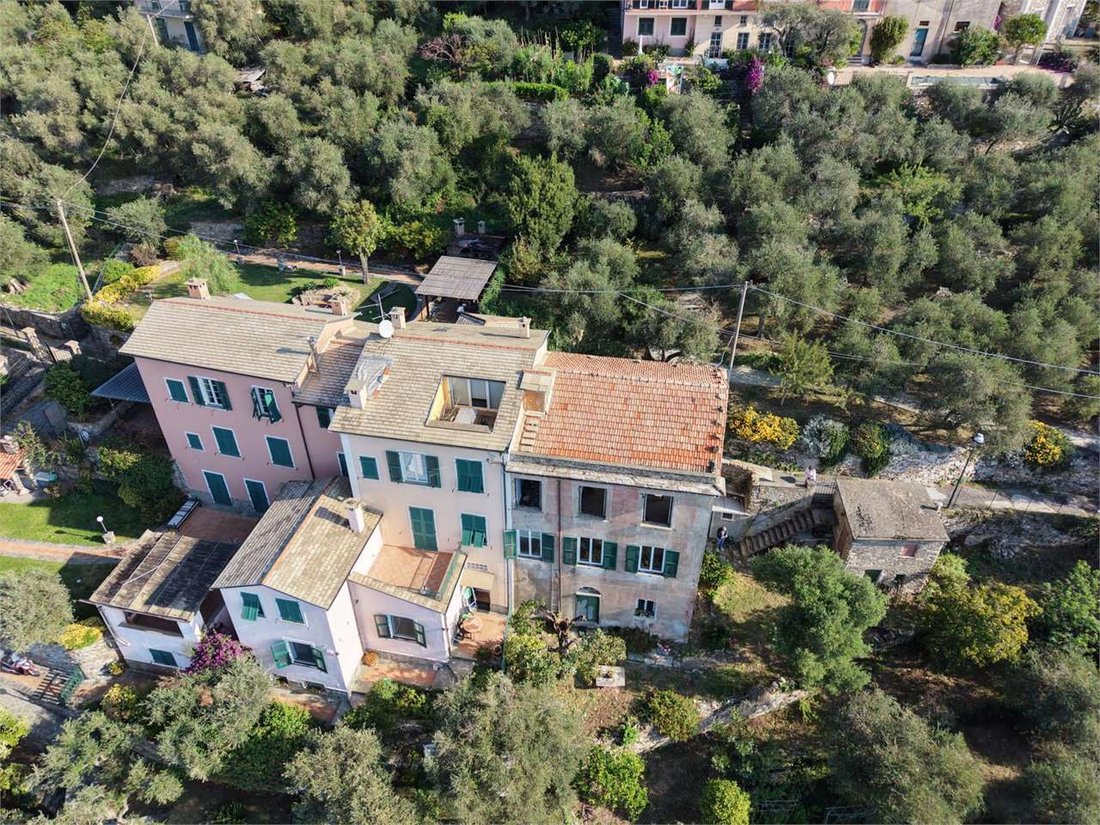 Estate in Zoagli, Liguria, Italy 3 - 19104543