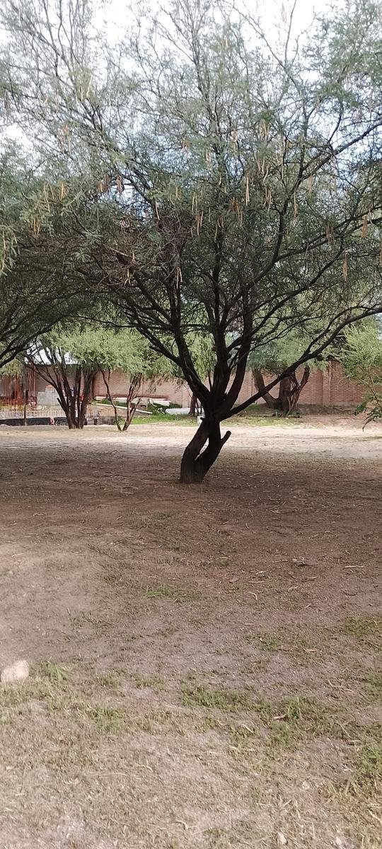 Terreno en Aguascalientes, Aguascalientes, México 5 - 19105564