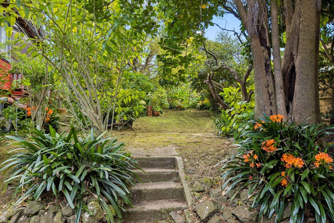 Haus in Auckland, Auckland, Neuseeland 3 - 19076485