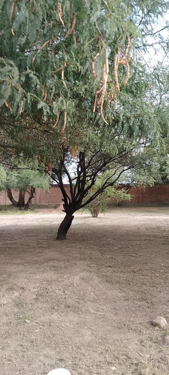 Terreno en Aguascalientes, Aguascalientes, México 2 - 19105564