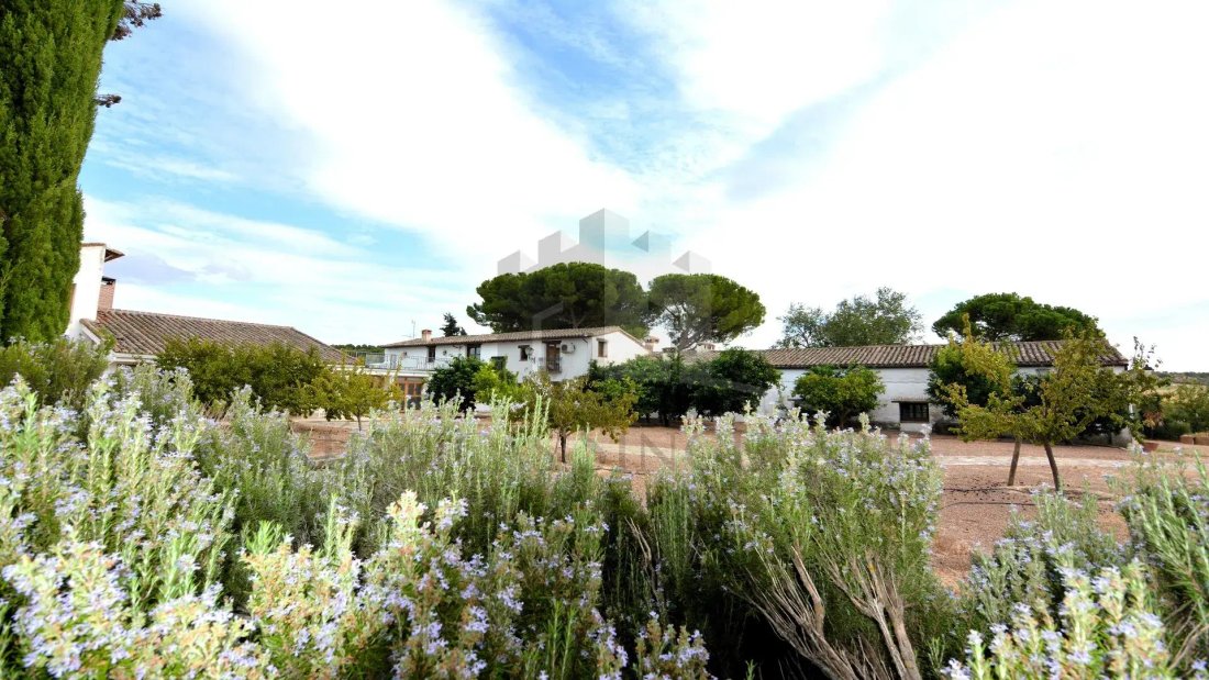 Estate in Toledo, Castile-La Mancha, Spain 1 - 19104432