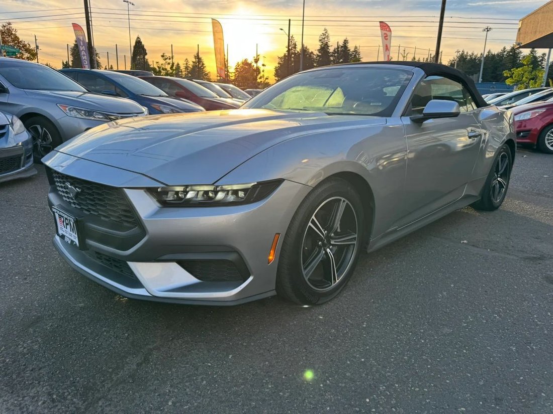 Cabriolet in Portland, OR, United States 5 - 19105855