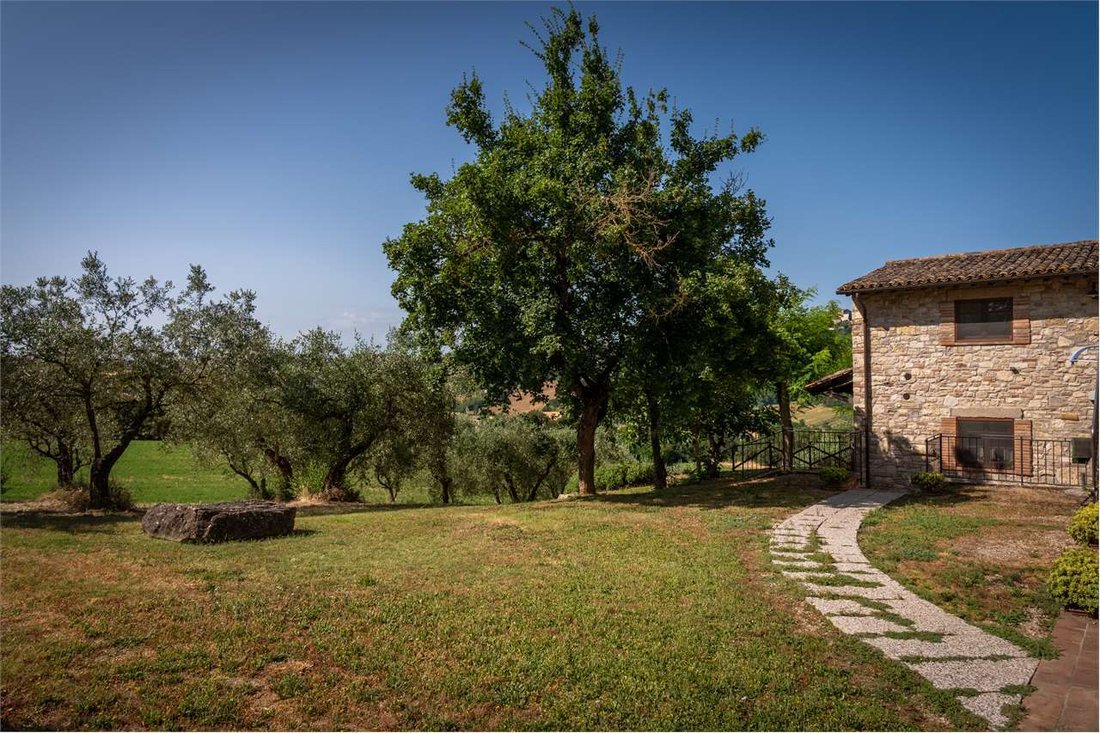 Estate in Todi, Umbria, Italy 4 - 19104519