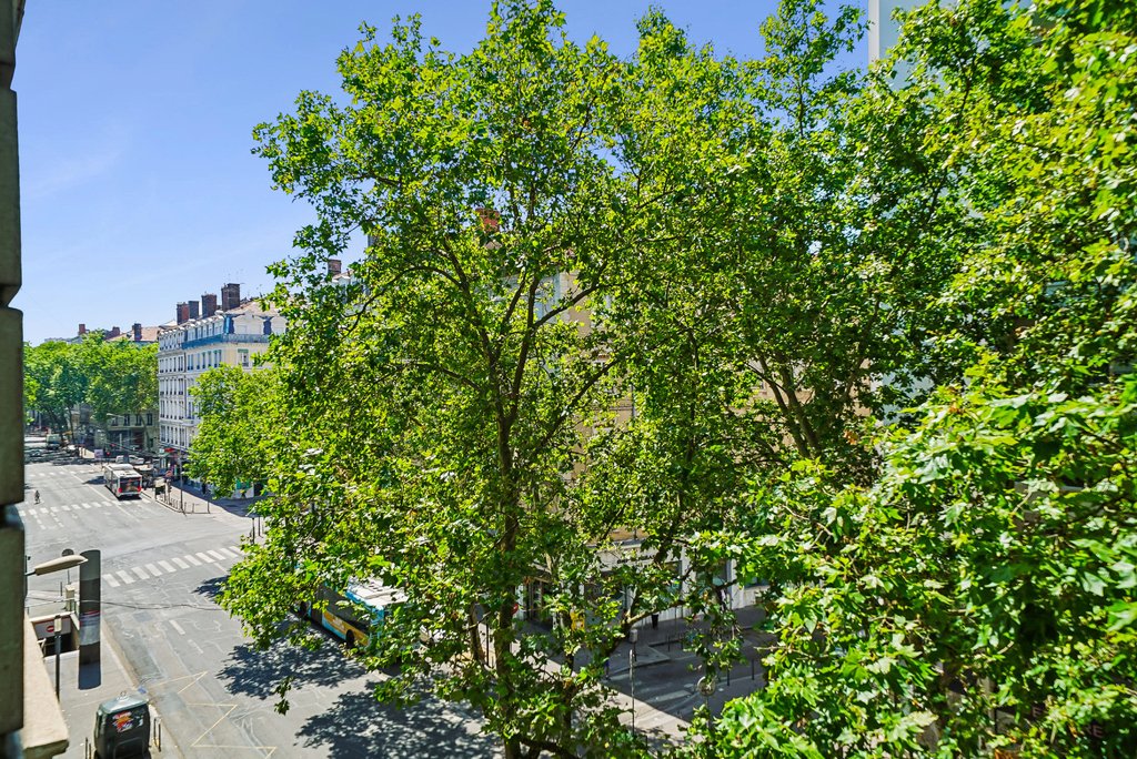 Apartamento en Part Dieu, Lyon 3e Arrondissement, Lion 5 - 19103649