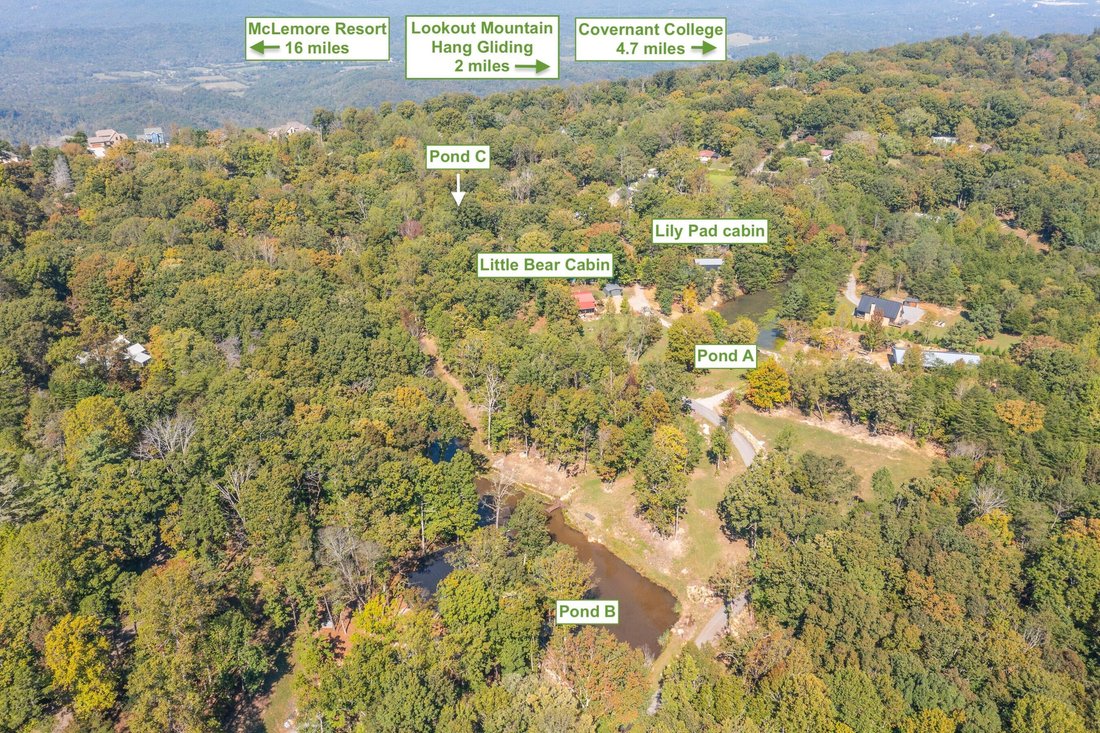Otros en Lookout Mountain, Georgia, Estados Unidos 3 - 19104269