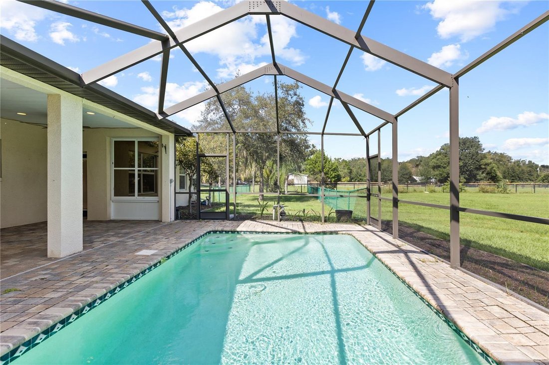 House in Land O' Lakes, Florida, United States 2 - 19104035