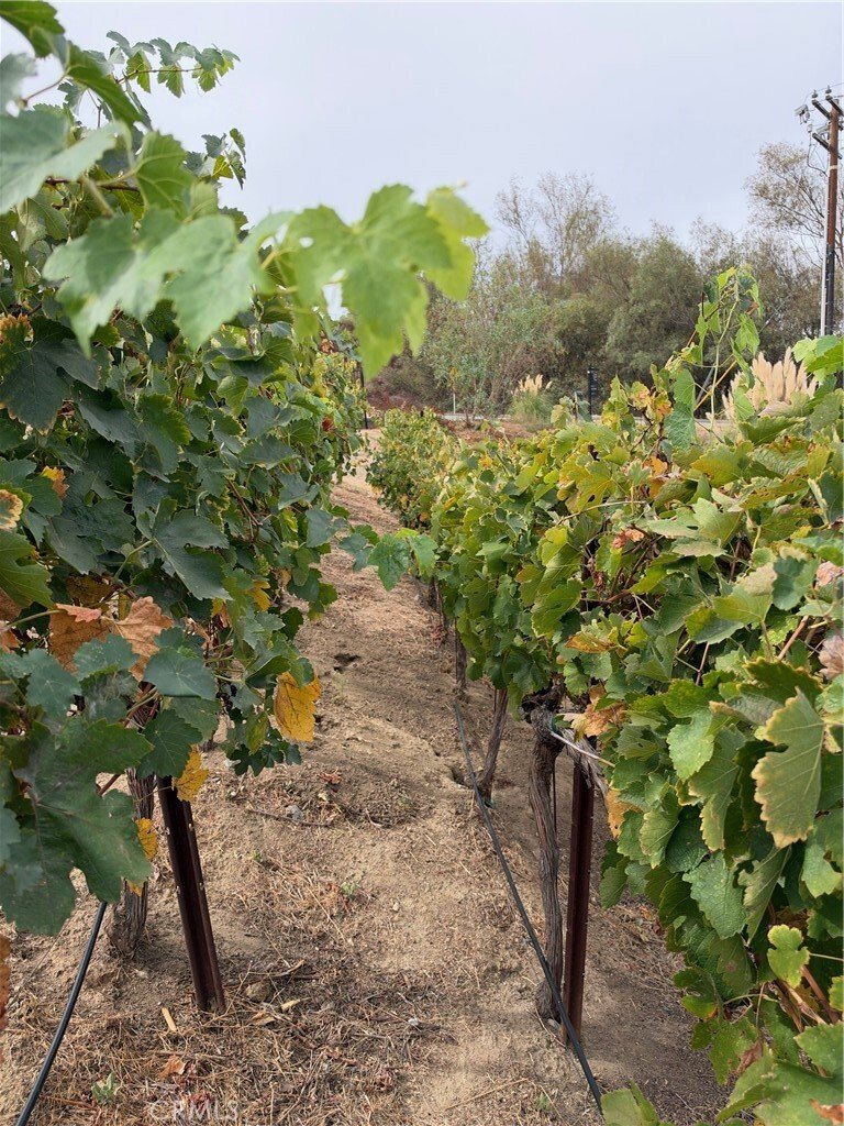 Casa en Temecula, California, Estados Unidos 2 - 18050681