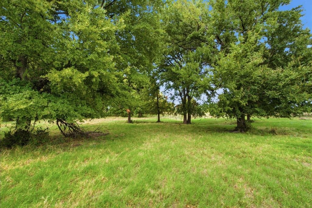 Corps de ferme à Jacksboro, Texas, États-Unis 5 - 19104945