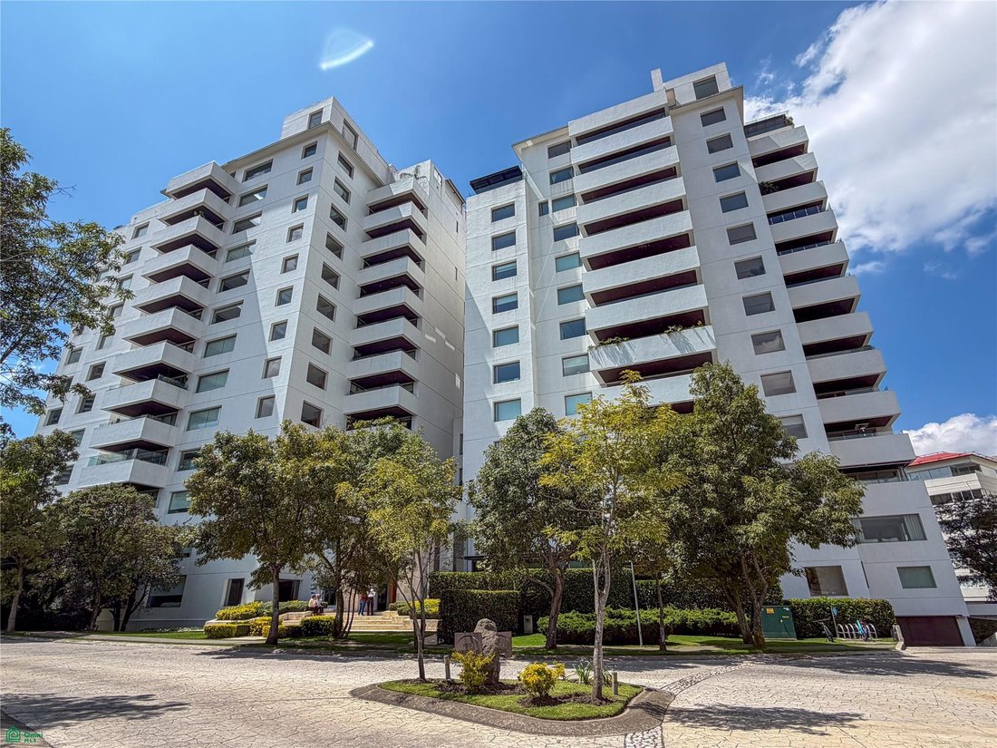 Condo in Naucalpan de Juárez, State of Mexico, Mexico 1 - 19103616