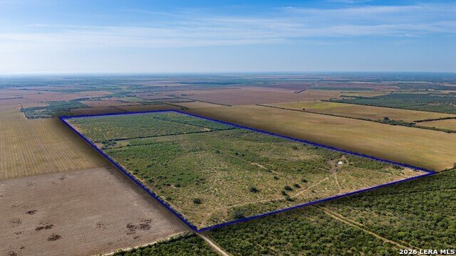 Azienda agricola a Beeville, Texas, Stati Uniti 2 - 19104995