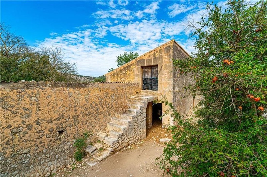 Landhaus in Algaida, Balearische Inseln, Spanien 5 - 19105125