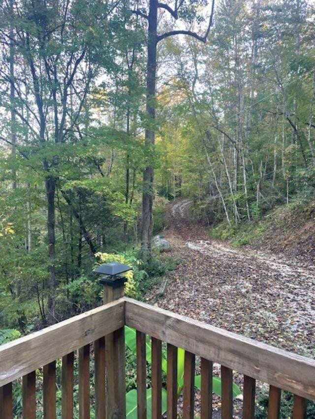 House in Gatlinburg, Tennessee, United States 4 - 19104201